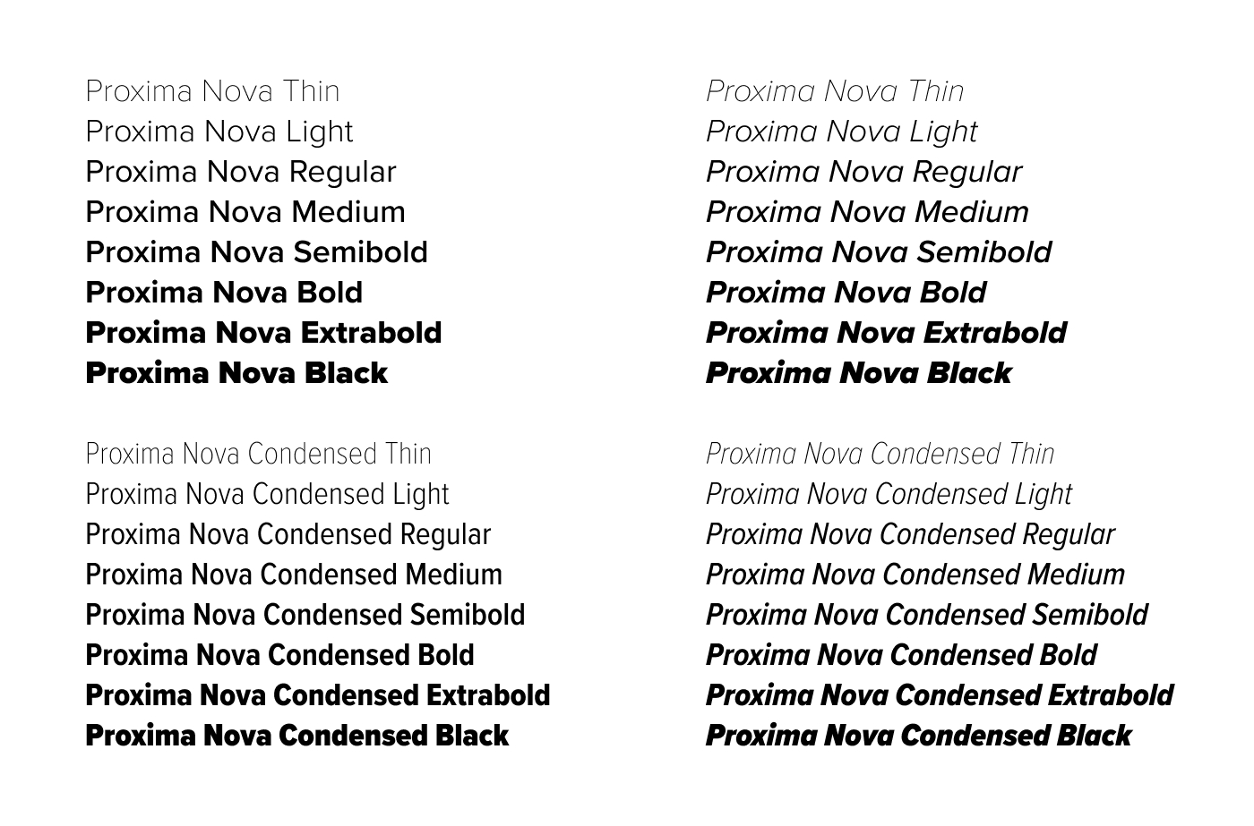 The typefaces